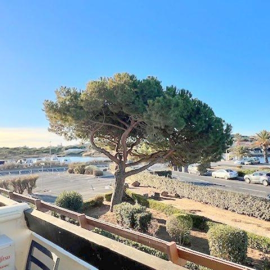  Resid' immobilier : Appartement | LE CAP-D'AGDE (34300) | 22 m2 | 238 000 € 