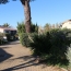  Resid' immobilier : House | LE CAP-D'AGDE (34300) | 36 m2 | 255 000 € 