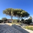  Resid' immobilier : Maison / Villa | LE CAP-D'AGDE (34300) | 145 m2 | 599 000 € 