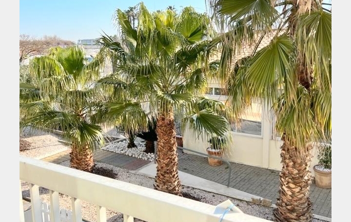 Resid' immobilier : Apartment | LE CAP-D'AGDE (34300) | 17 m2 | 120 000 € 